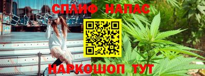 крисы Будённовск