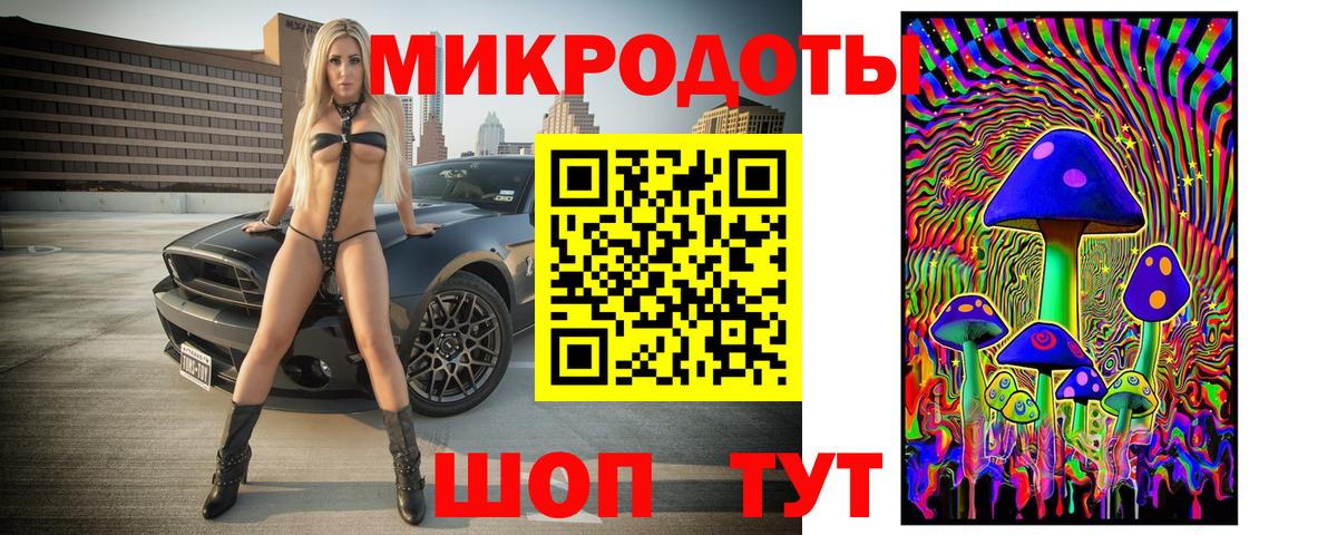 Галлюциногенные грибы Psilocybine cubensis Лесной