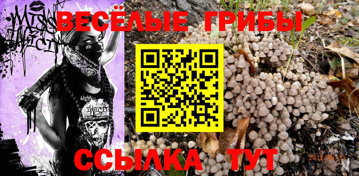 Псилоцибиновые грибы мухоморы  Вход с VPN  магазин продажи   Псилоцибиновые грибы Cubensis  Лесной 